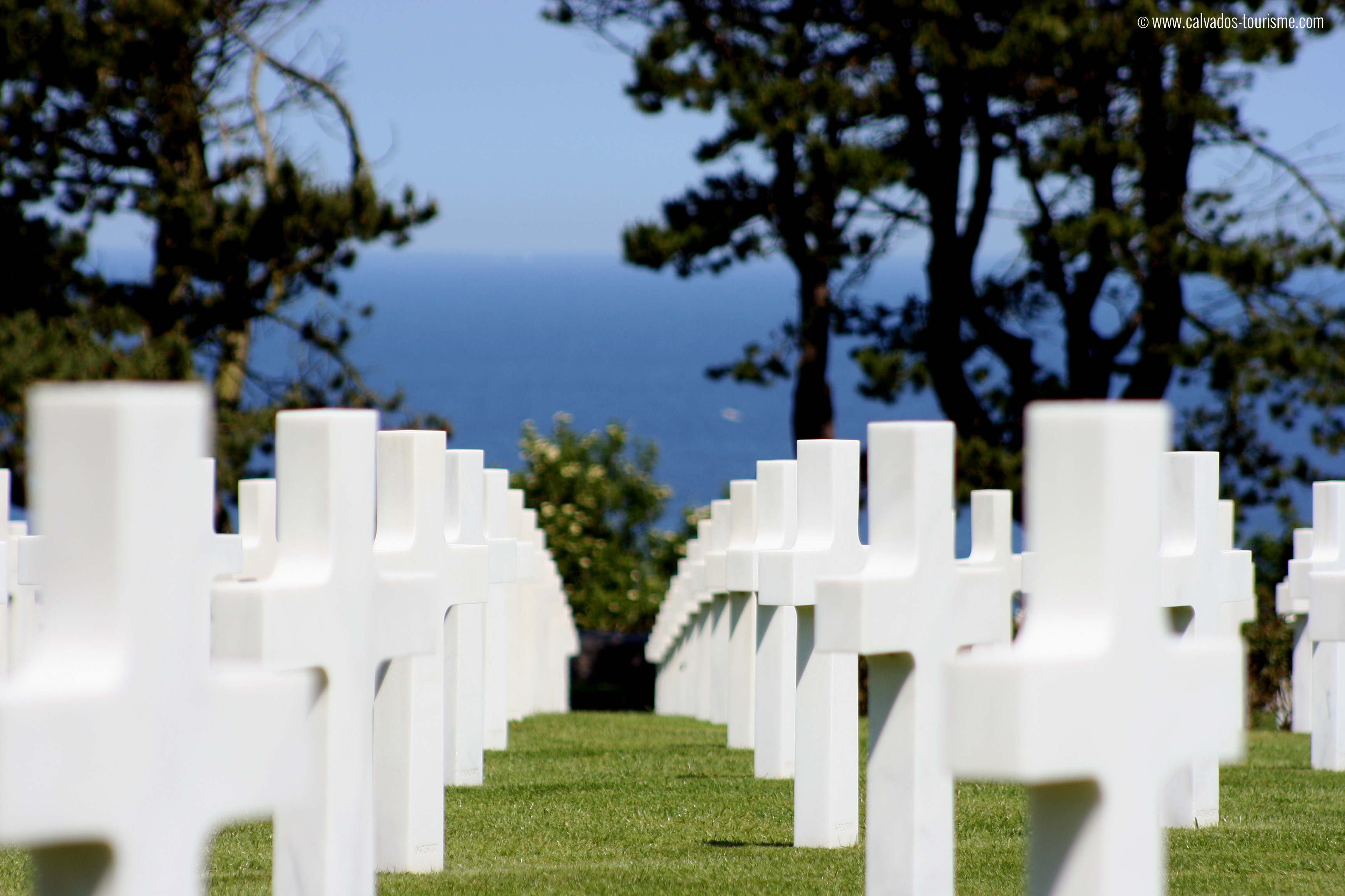 Cultural tours- Normandy - American cemetery