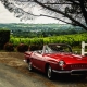 Loire Valley -off the beaten tracks-tour in vintage car