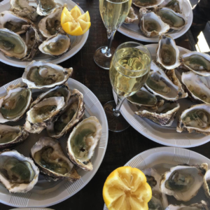 oyster loire boat croisiere