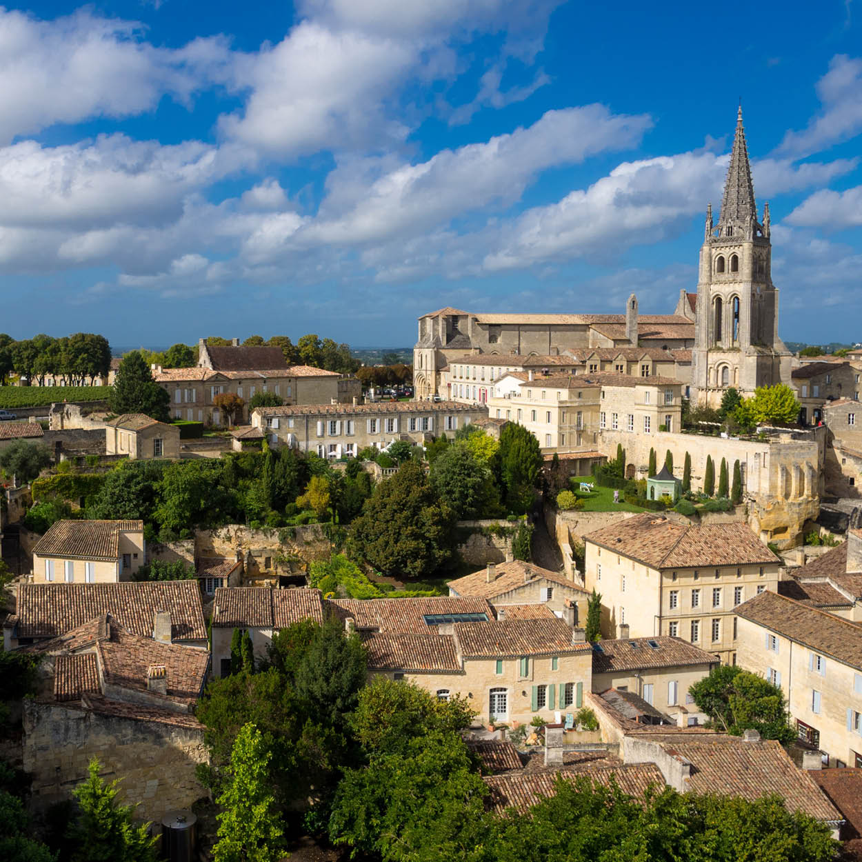 st emilion bordeaux wine