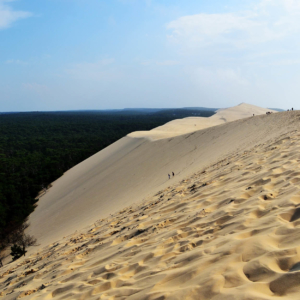 pilat dune