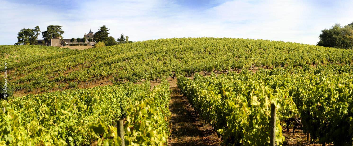 organic wine tour