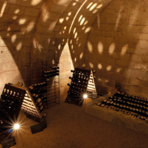 winery wine experience journee autour du vin