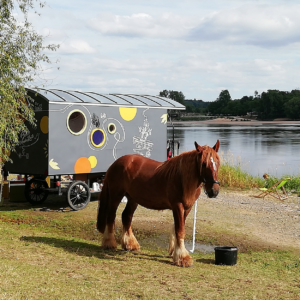 unique loire valley autotour insolite