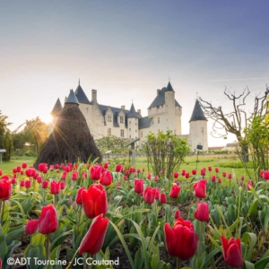 loire valley gardens jardins