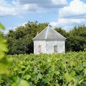 wine tour private vin oenologique