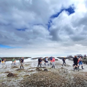 gourmet tour brittany journee gourmande bretagne