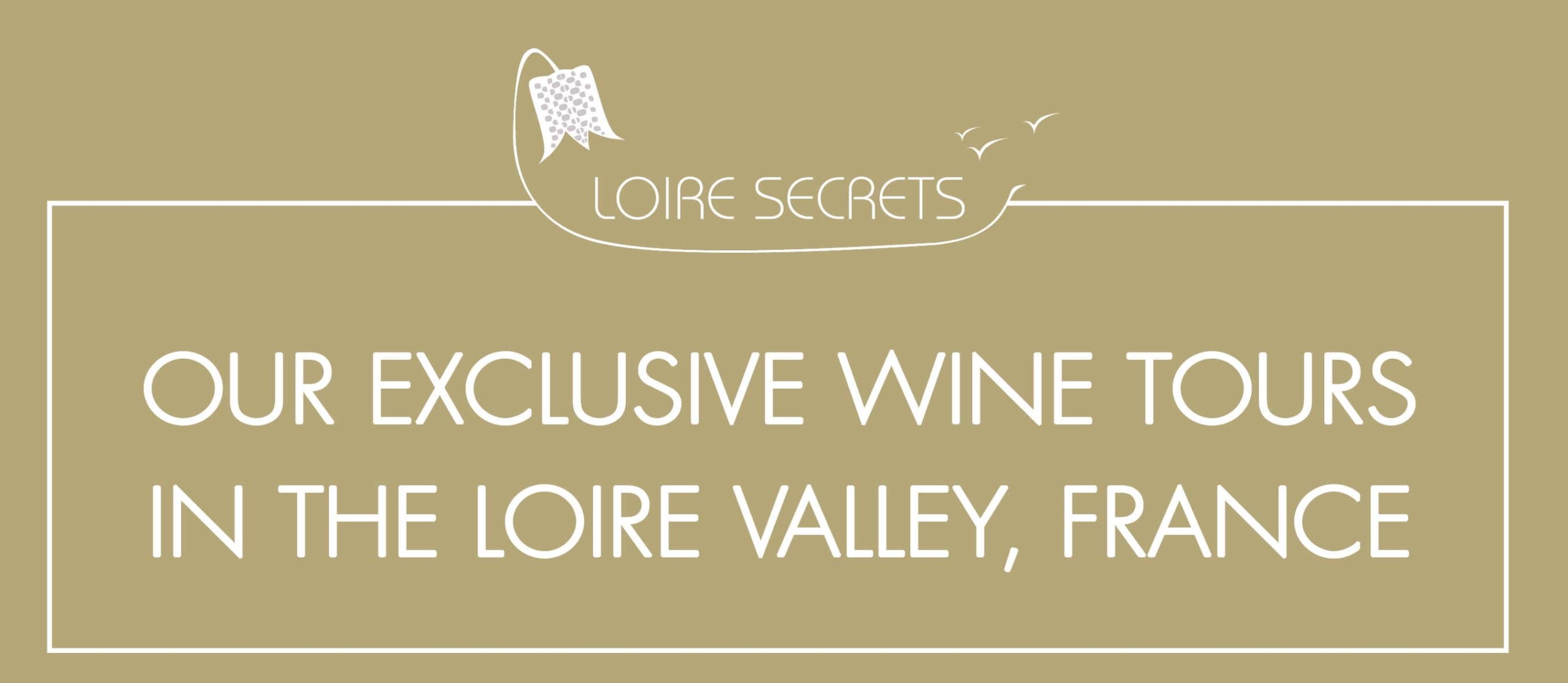 Read more about the article Our exclusive wine tours in the Loire Valley, France