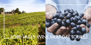 loire valley wine tour