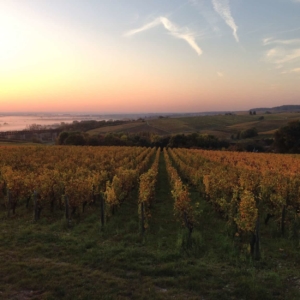 sancerre wine tour vin