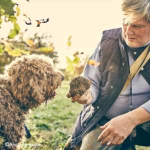 truffles truffes