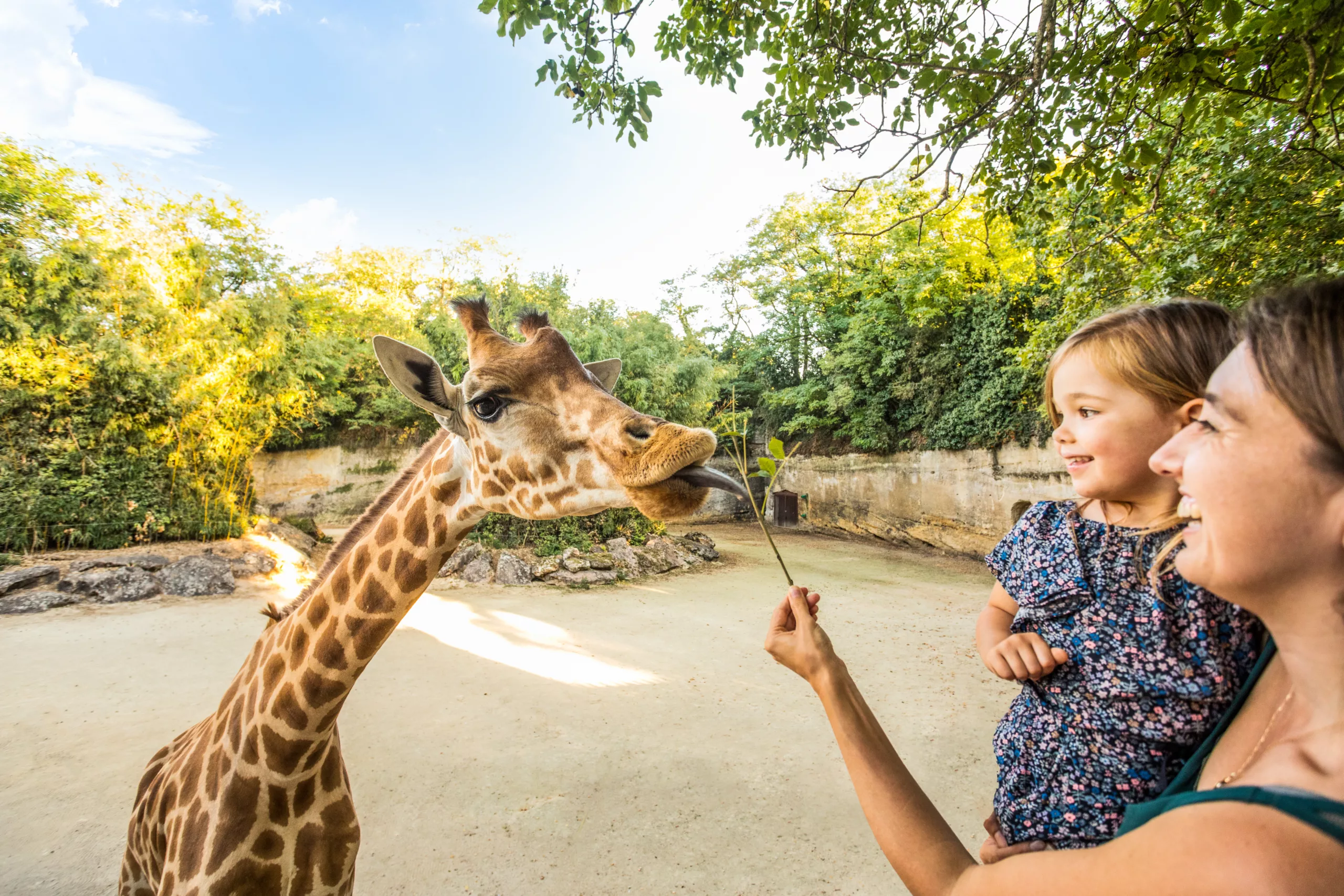 Loire Secrets - Bioparc Family holidays in the Loire Valley / Vacances en famille en Val de Loire - ©Christophe MARTIN - Anjou Tourisme