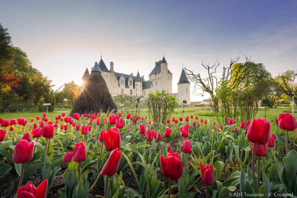 Loire Secrets - Rivau castle - Château du Rivau - ©ADT Touraine - JC Coutand