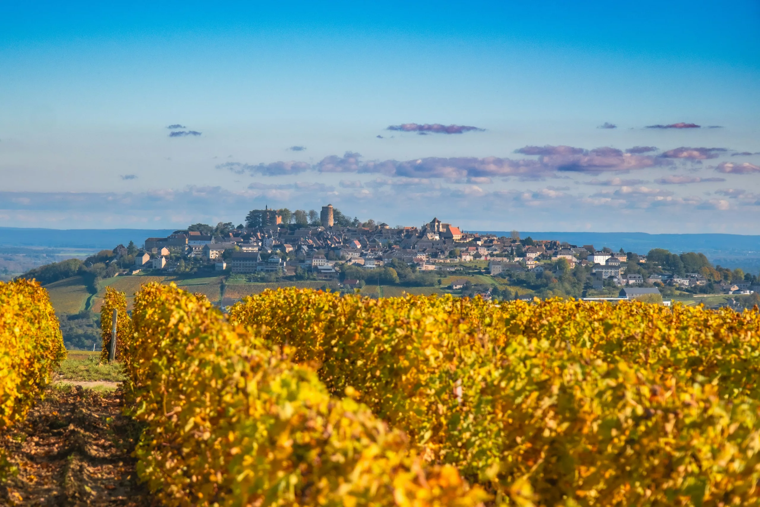 Loire Secrets - Sancerre Vineyards - Vignoble de Sancerre - Unsplash