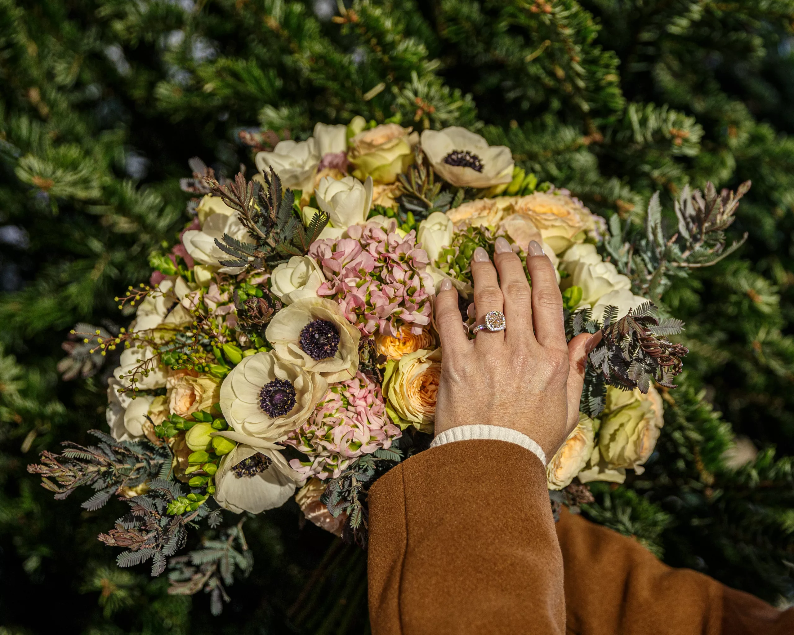 Loire Secrets - Honeymoon in the Loire Valley, France - ©Mark Playle - photographfrance.com