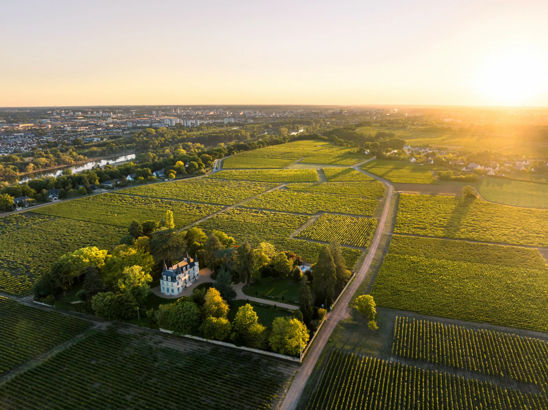Loire Secrets - Vouvray Vineyards / Vignoble de Vouvray - ©Tom Besse - ADT Touraine