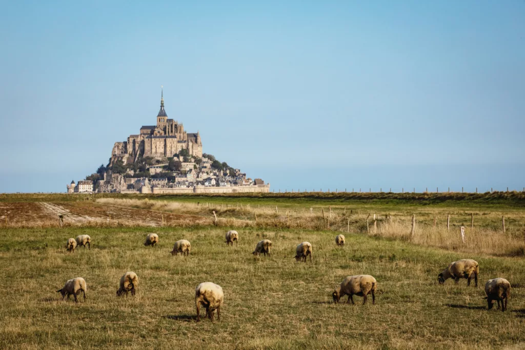 Loire Secrets - Mont Saint Michel - ©Valentin Pacaut - The Explorers - Normandie Tourisme