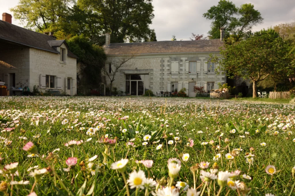 Loire Secrets - Private cooking class in the Loire Valley / Atelier culinaire privatif en Val de Loire