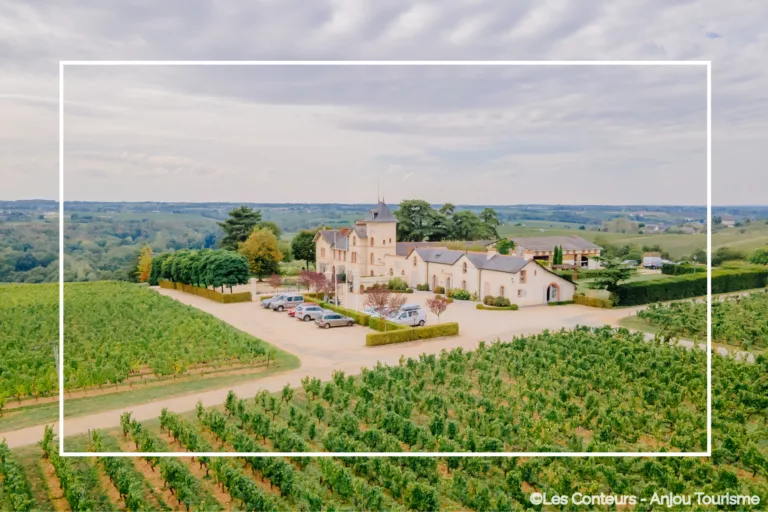 Loire Secrets - Private wine trip in the Loire Valley / Séjour privatif autour du vin en Val de Loire - ©Les Conteurs - Anjou Tourisme