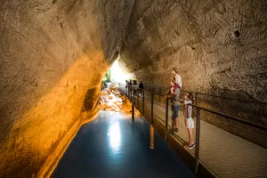 Loire Secrets - Bioparc zoo troglodytes - ©Christophe MARTIN - Anjou Tourisme