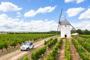 Loire Secrets - Vendée vineyard in the Loire Valley / Vignoble de Vendée en Val de Loire - ©Simon Bourcier - Vendée Expansion