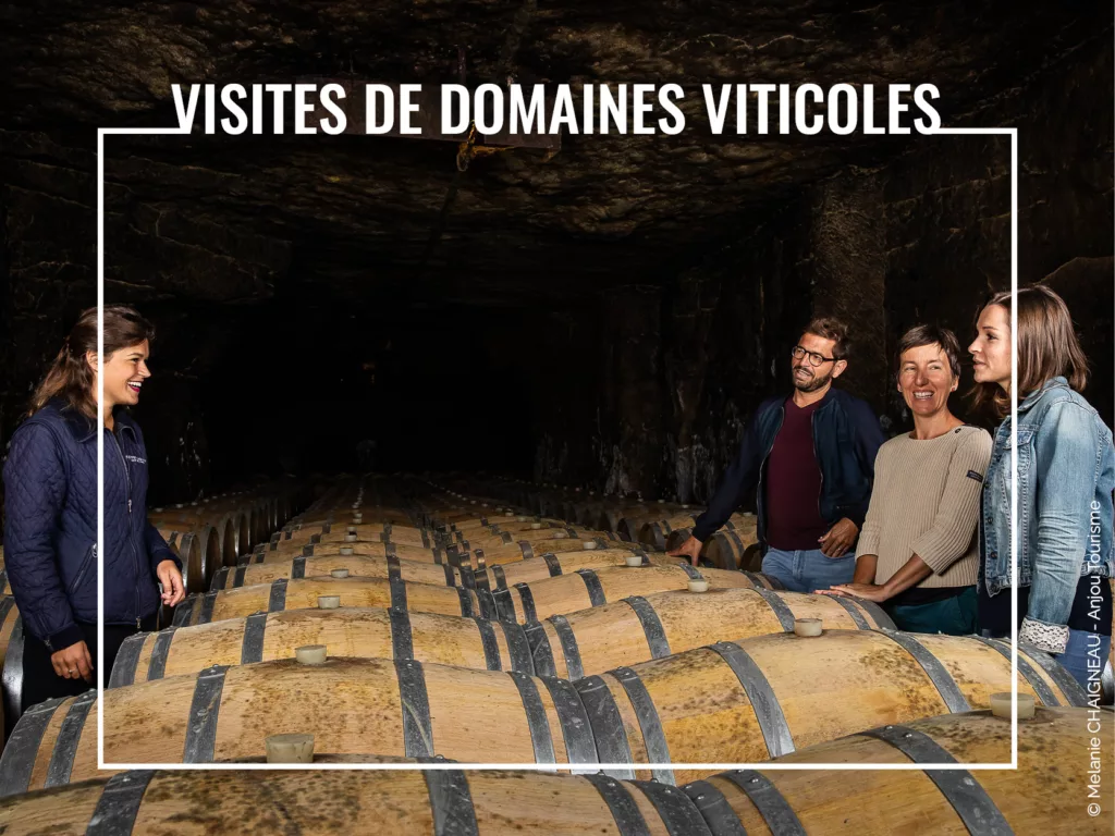 Loire Secrets - Visites de domaines viticoles - © Melanie CHAIGNEAU - Anjou Tourisme