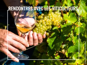 Loire Secrets - Rencontres avec les viticulteurs - ©Simon Bourcier - Vendée Expansion
