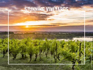 Loire Secrets - Stunning vineyards in the Loire Valley - © Sebastien GAUDARD - Anjou Tourisme