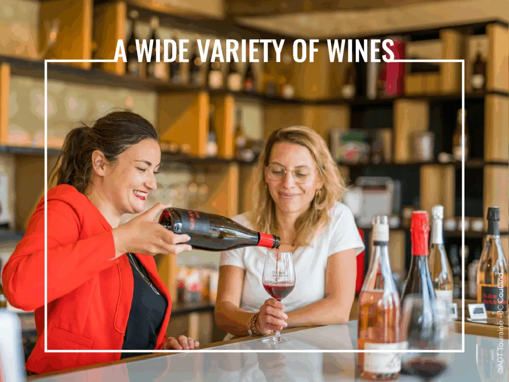 Loire Secrets - A wide variety of wines in the Loire Valley - ©ADT Touraine - JC Coutand