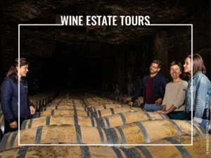Loire Secrets - Wine estate tours in the Loire Valley - © Melanie CHAIGNEAU - Anjou Tourisme