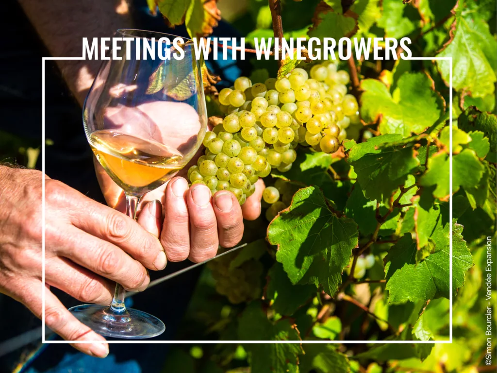 Loire Secrets - Meetings with winegrowers - ©Simon Bourcier - Vendée Expansion