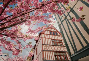 Loire Secrets - Rouen city visit - Visite de la ville de Rouen - ©Marie-Anaïs Thierry - Normandie Tourisme