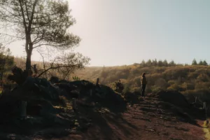 Loire Secrets - Brocéliande forest in Brittany / La forêt de Brocéliande en Bretagne - ©Jeanne-Éloïse Guérin - Tourisme Bretagne
