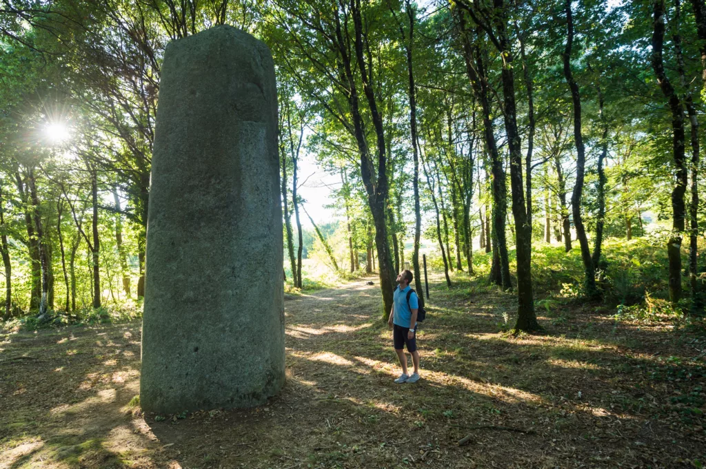 Loire Secrets - Brocéliande forest in Brittany / La forêt de Brocéliande en Bretagne - ©BERTHIER Emmanuel - Tourisme Bretagne